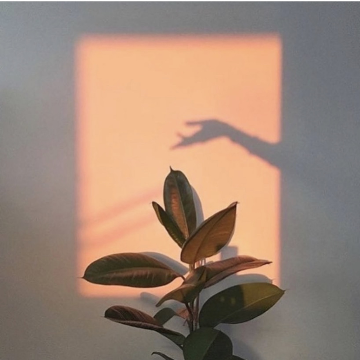 🍊 tangerine in retrograde 🍊