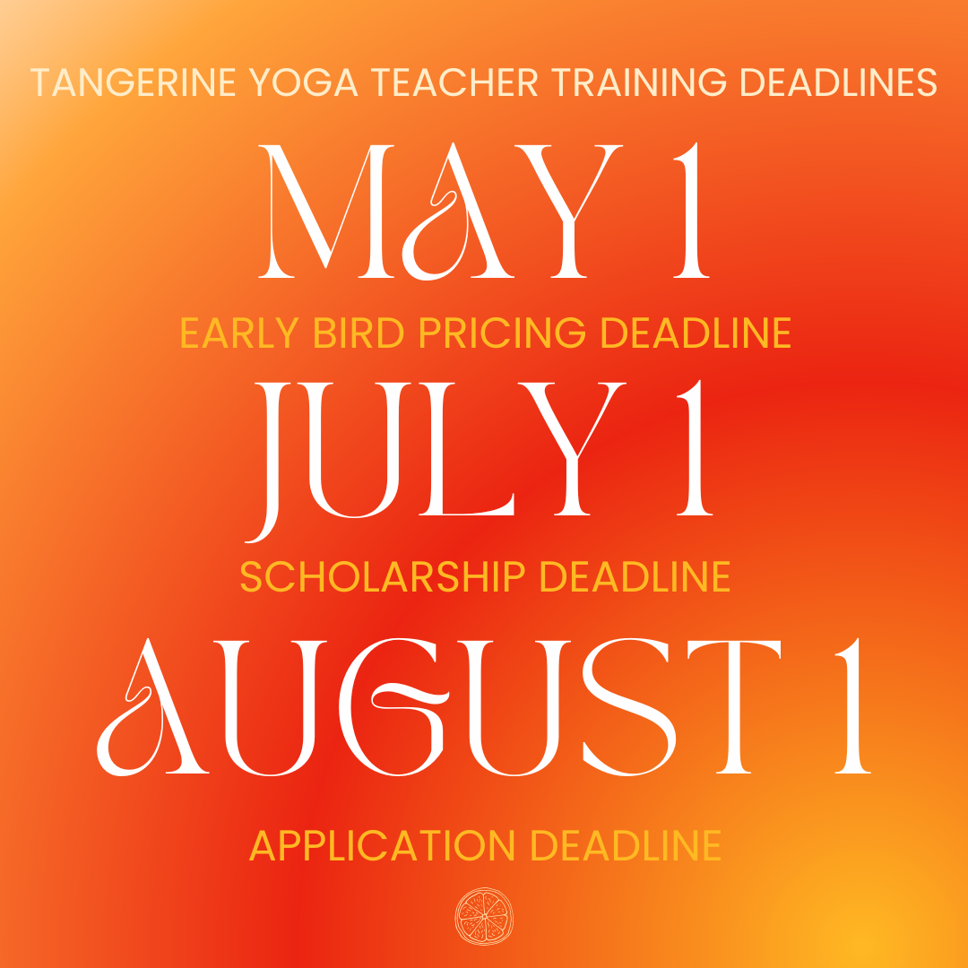 🍊limited space left for handstands with Liz!
