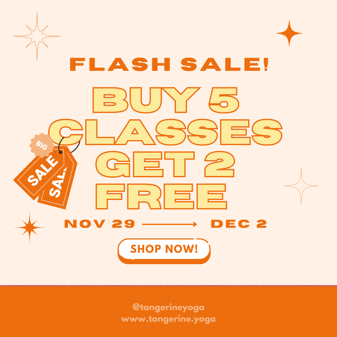 🍊black friday flash sale!