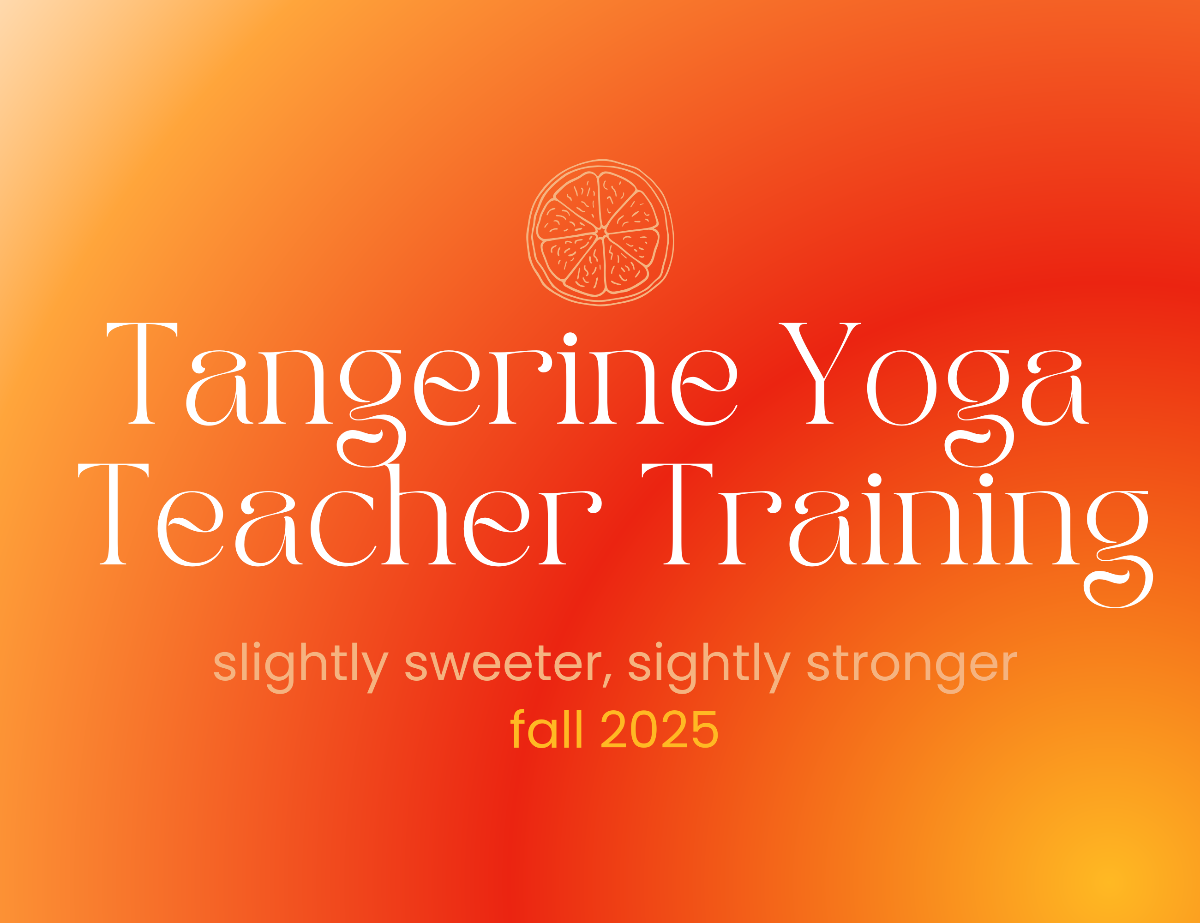 🍊attend free info session about our teacher training!