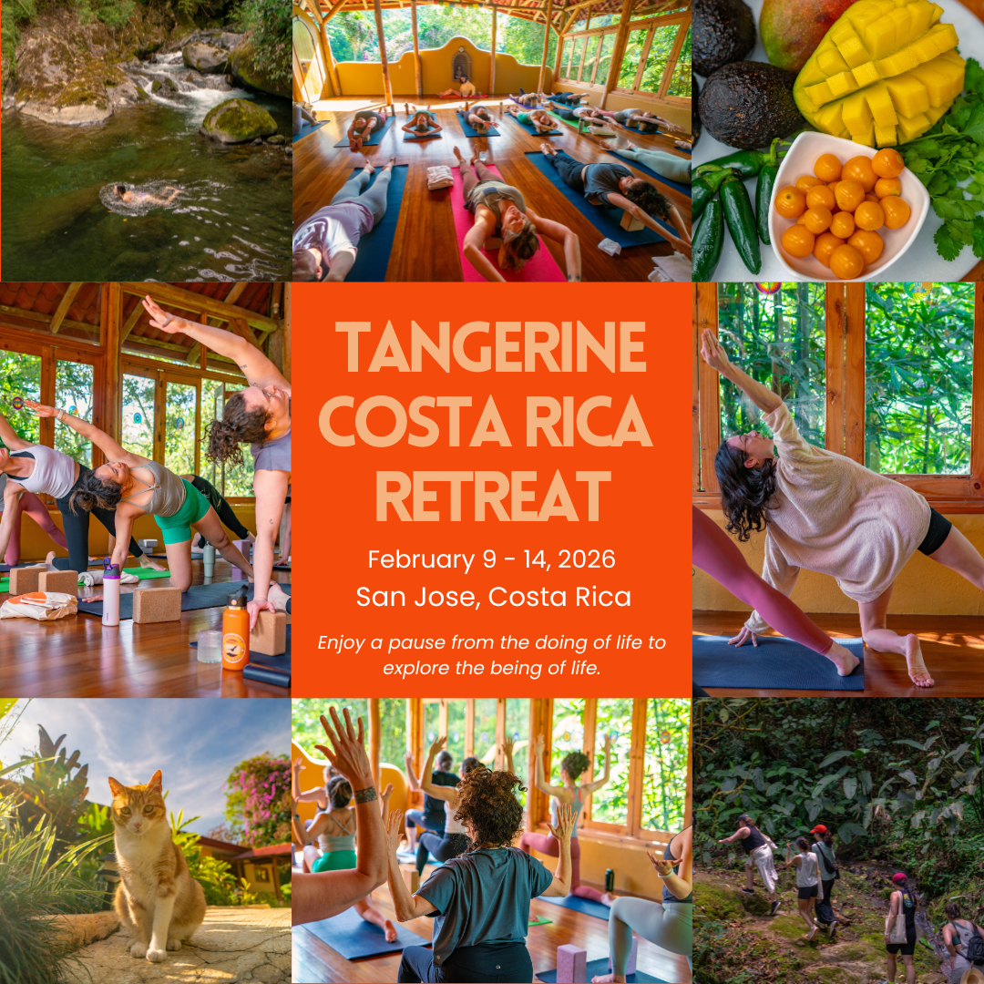 🍊Your Winter 2026 Escape: Costa Rica