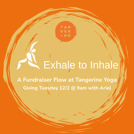🍊 Our Next Fundraiser Flow and Fresh Staff Picks