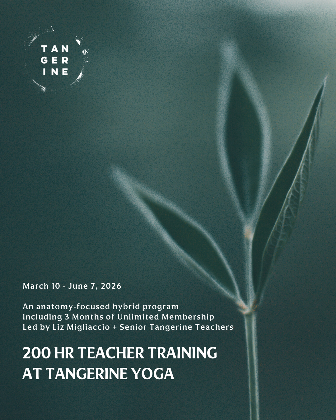 🍊 Join Our Live Q&A on Teacher Training!