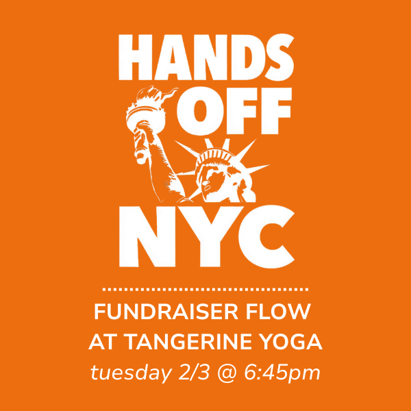 🍊 Fundraiser Flow for Hands Off NYC