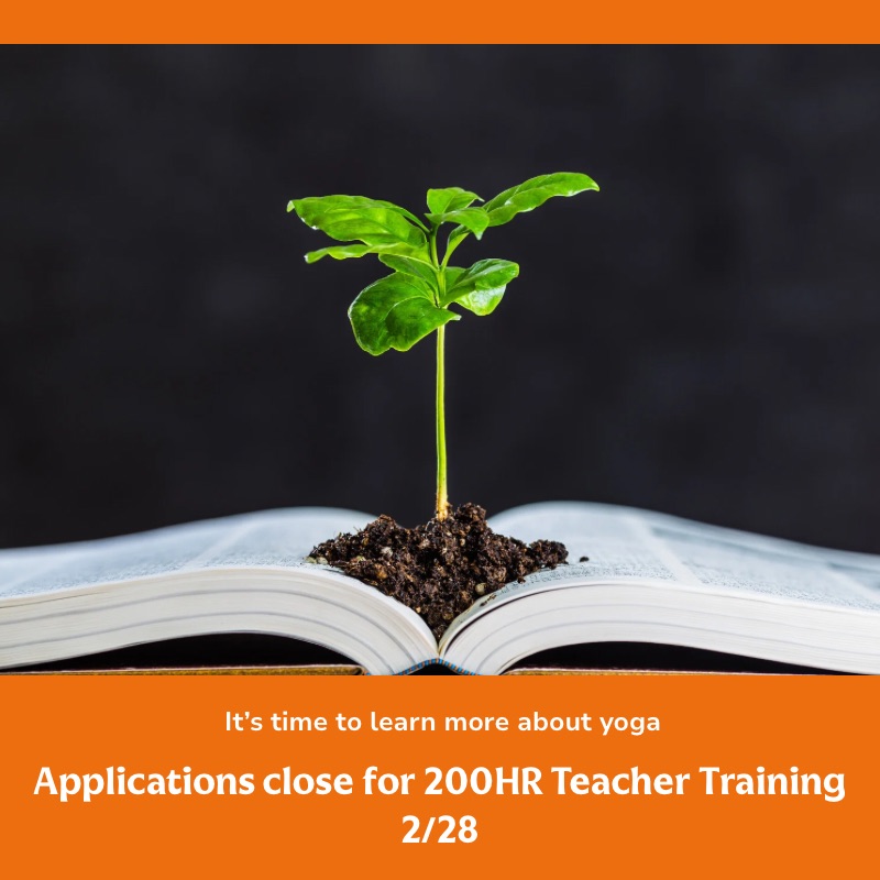 🧡 2 Days Left to Apply: 2026 Yoga Teacher Training